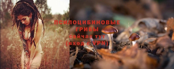 каннабис Дмитров