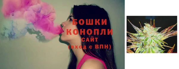 мдпв Дмитриев