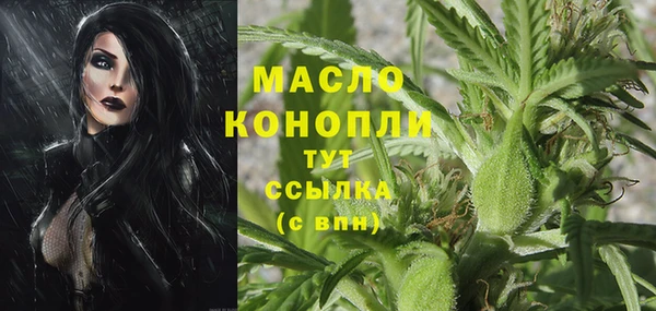 мдпв Дмитриев