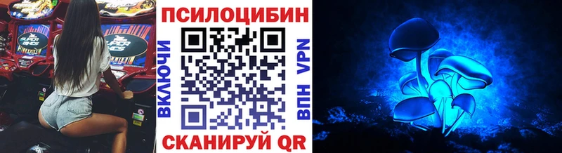 кракен зеркало  Жуковский  Галлюциногенные грибы GOLDEN TEACHER  закладка 